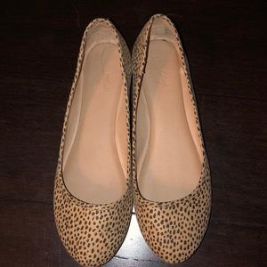 Spotted flats